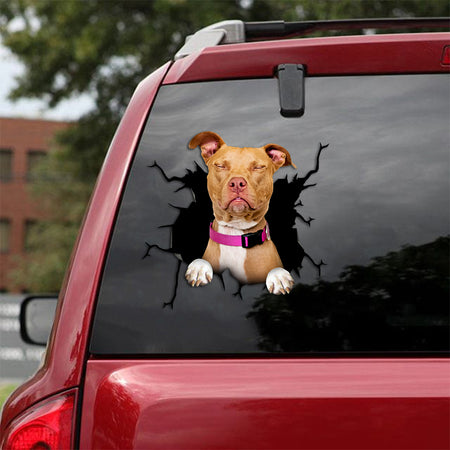 [th0512-snf-tpa]-pitbull-crack-car-sticker-dogs-lover