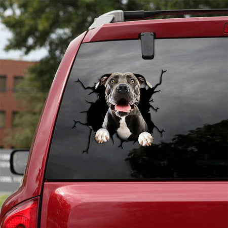 [th0514-snf-tpa]-pitbull-crack-car-sticker-dogs-lover