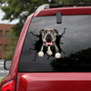 [th0514-snf-tpa]-pitbull-crack-car-sticker-dogs-lover