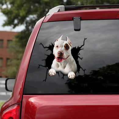 [th0515-snf-tpa]-pitbull-crack-car-sticker-dogs-lover