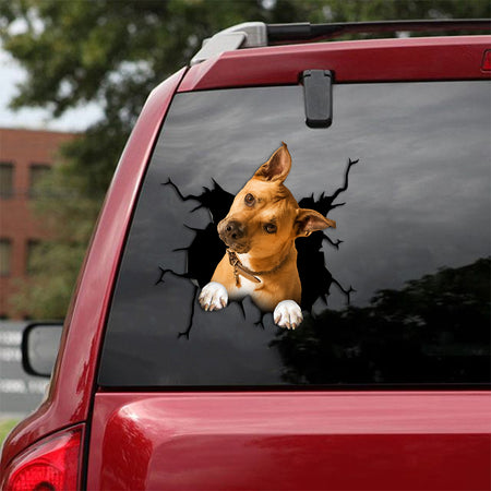 [th0516-snf-tpa]-pitbull-crack-car-sticker-dogs-lover
