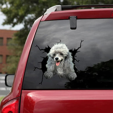 [da0541-snf-tpa]-standard-poodle-crack-car-sticker-dogs-lover