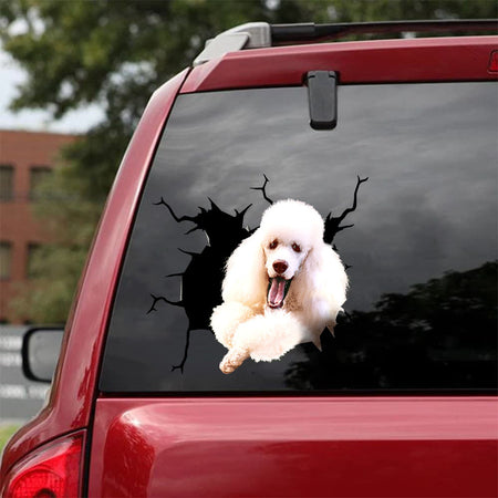[da0542-snf-tpa]-standard-poodle-crack-car-sticker-dogs-lover