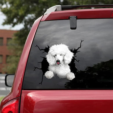 [da0543-snf-tpa]-standard-poodle-crack-car-sticker-dogs-lover