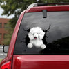 [da0543-snf-tpa]-standard-poodle-crack-car-sticker-dogs-lover