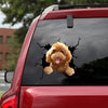 [da0534-snf-tpa]-toy-poodle-crack-car-sticker-dogs-lover