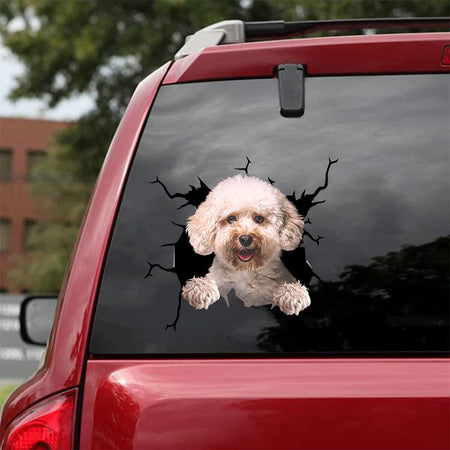 [da0535-snf-tpa]-toy-poodle-crack-car-sticker-dogs-lover
