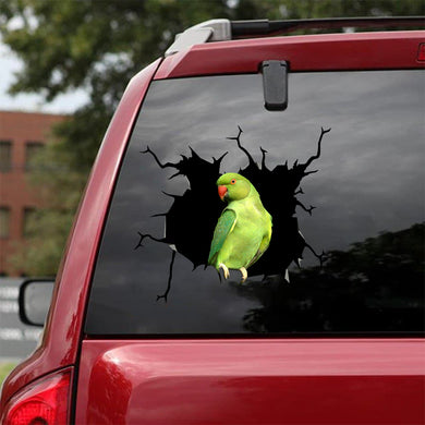 [bv0064-snf-tnt]-female-green-indian-ringneck-crack-car-sticker-birds-lover