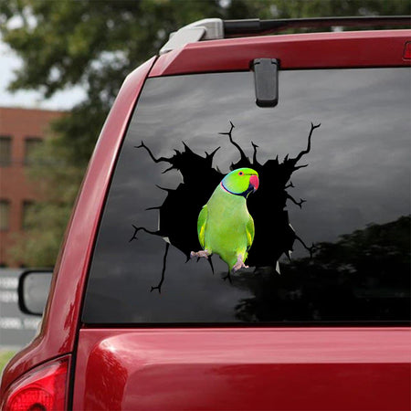 [bv0066-snf-tnt]-male-green-indian-ringneck-crack-car-sticker-birds-lover