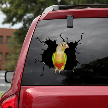 [bv0062-snf-tnt]-parrot-crack-car-sticker-birds-lover