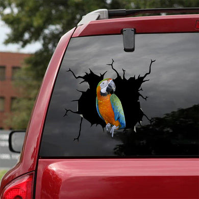 [bv0063-snf-tnt]-parrot-crack-car-sticker-birds-lover