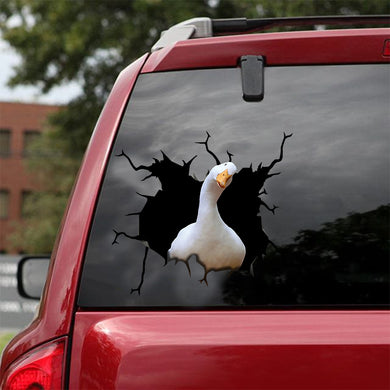 [sk1076-snf-lad]-duck-crack-sticker-animals-lover