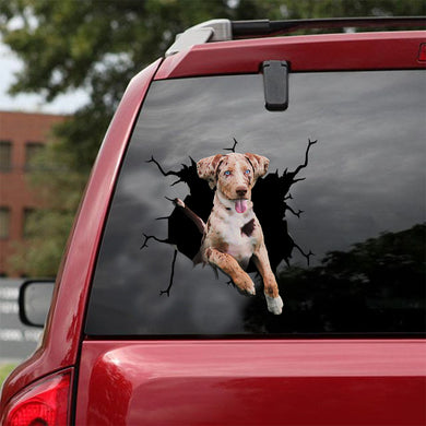 [ld0668-snf-lad]-catahoula-crack-car-sticker-dogs-lover