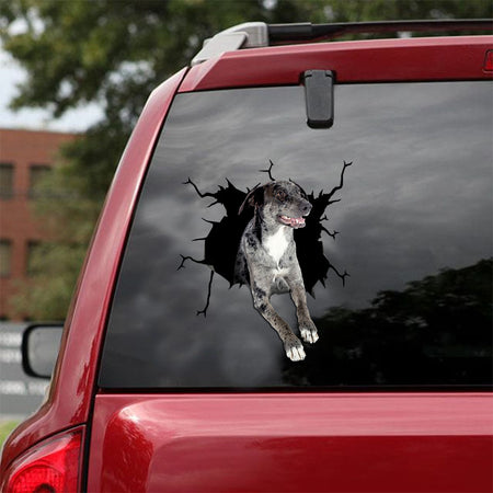 [ld0669-snf-lad]-catahoula-crack-car-sticker-dogs-lover