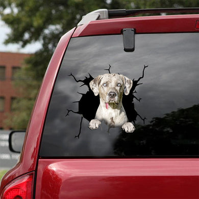 [ld0670-snf-lad]-catahoula-crack-car-sticker-dogs-lover
