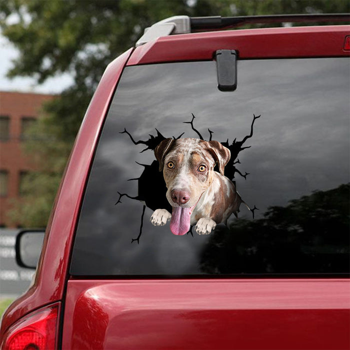 [ld0672-snf-lad]-catahoula-crack-car-sticker-dogs-lover