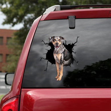 [ld0673-snf-lad]-catahoula-crack-car-sticker-dogs-lover