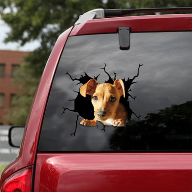 [ld0642-snf-lad]-chiweenie-crack-car-sticker-dogs-lover