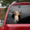 [ld0643-snf-lad]-chiweenie-crack-car-sticker-dogs-lover