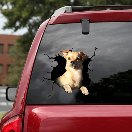 [ld0644-snf-lad]-chiweenie-crack-car-sticker-dogs-lover