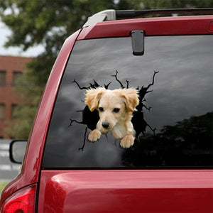 [ld0645-snf-lad]-chiweenie-crack-car-sticker-dogs-lover