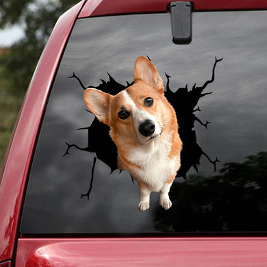 [ld1444-snf-lad]-corgi--crack-car-sticker-dogs-lover