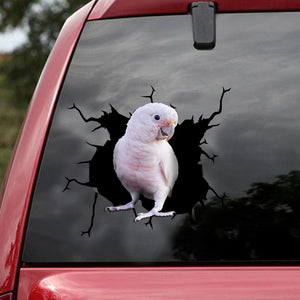 [ld1751-snf-lad]-goffin-cockatoo-crack-car-sticker-bird-lovers