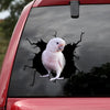 [ld1751-snf-lad]-goffin-cockatoo-crack-car-sticker-bird-lovers