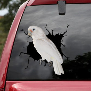 [ld1755-snf-lad]-goffin-cockatoo-crack-car-sticker-bird-lovers