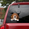 [sk1160-snf-tpa]-american-foxhound-crack-sticker-dogs-lover