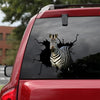 [sk1233-snf-tpa]-zebra-crack-sticker-animals-lover