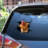 [th0089-snf-tpa]-chicken-car-sticker-animals-lover