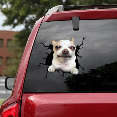 [th0566-snf-tpa]-chihuahua-crack-car-sticker-dogs-lover