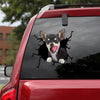 [th0569-snf-tpa]-chihuahua-crack-car-sticker-dogs-lover