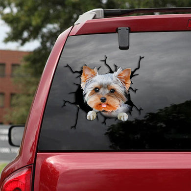 [th0558-snf-tpa]-yorkshire-crack-car-sticker-dogs-lover