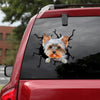 [th0558-snf-tpa]-yorkshire-crack-car-sticker-dogs-lover
