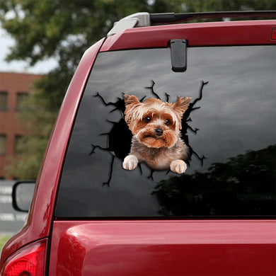 [th0559-snf-tpa]-yorkshire-crack-car-sticker-dogs-lover