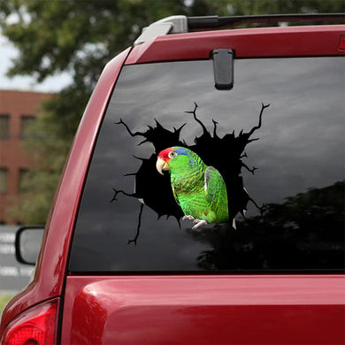 [bv0074-snf-tnt]-parrot-crack-car-sticker-birds-lover