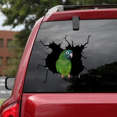 [bv0075-snf-tnt]-parrot-crack-car-sticker-birds-lover