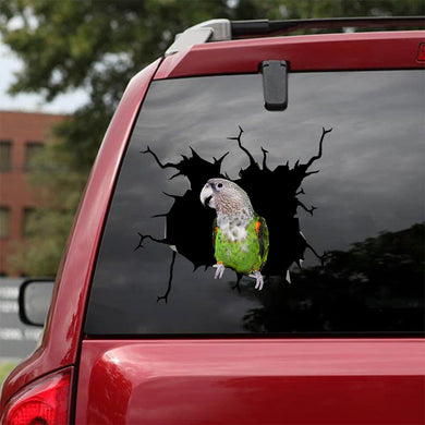 [bv0076-snf-tnt]-parrot-crack-car-sticker-parrot-lover