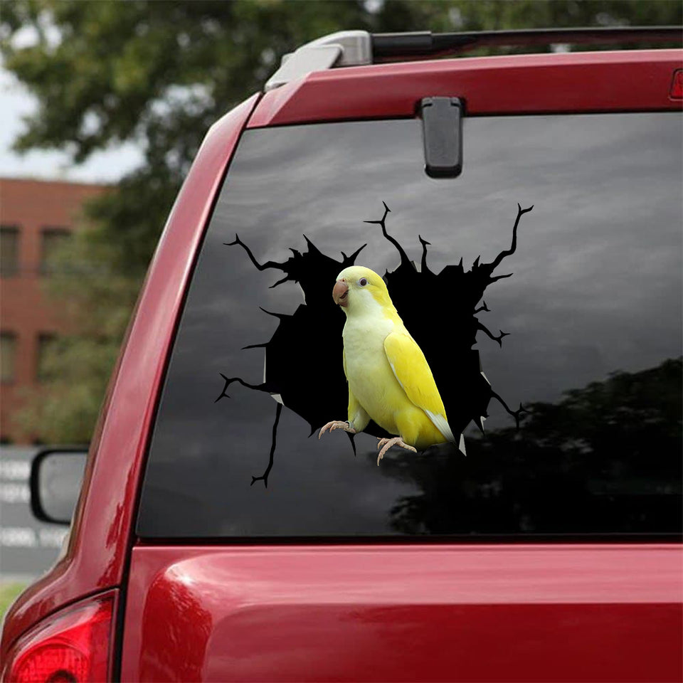 [bv0079-snf-tnt]-parrot-crack-car-sticker-parrot-lover