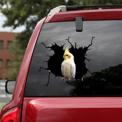 [bv0070-snf-tnt]-parrot-crack-car-sticker-birds-lover