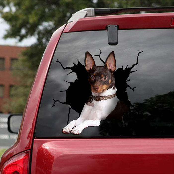 [ld0169-snf-lad]-rat-terrier-crack-car-sticker-dogs-lover