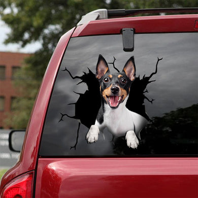 [ld0170-snf-lad]-rat-terrier-crack-car-sticker-dogs-lover
