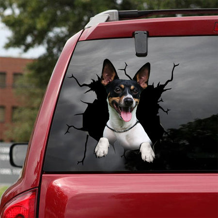 [ld0171-snf-lad]-rat-terrier-crack-car-sticker-dogs-lover