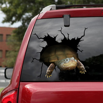 [ld0178-snf-lad]-african-sideneck-turtle-crack-car-sticker-sea-animals-lover