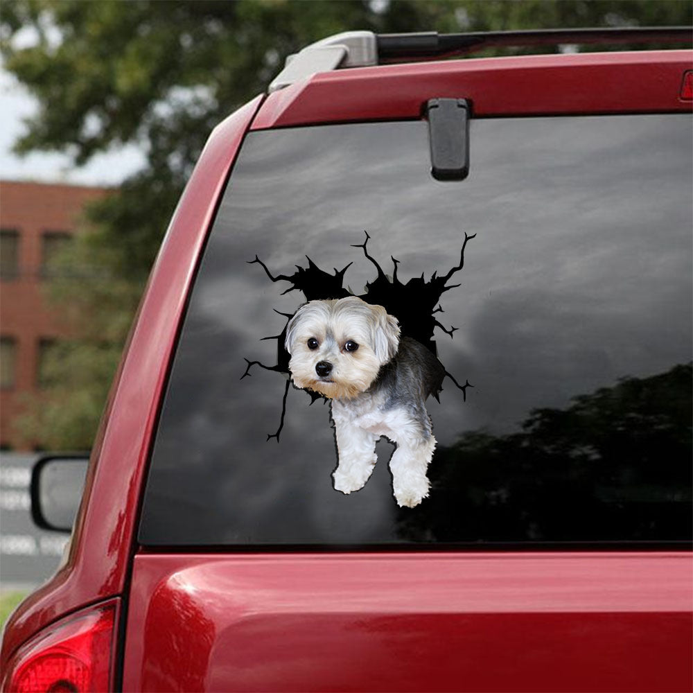 [ld1068-snf-lad]-morkie-crack-car-sticker-dogs-lover
