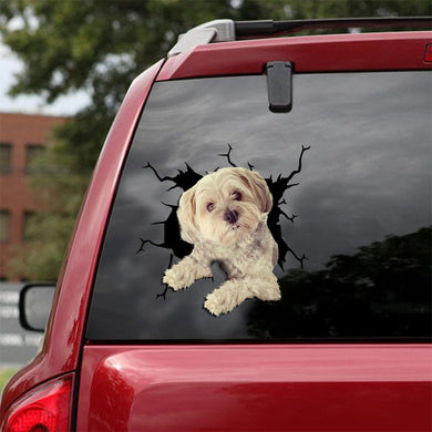 [ld1073-snf-lad]-morkie-crack-car-sticker-dogs-lover