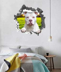 [da0102-snf-tnt]-pitbull-crack-wall-decal