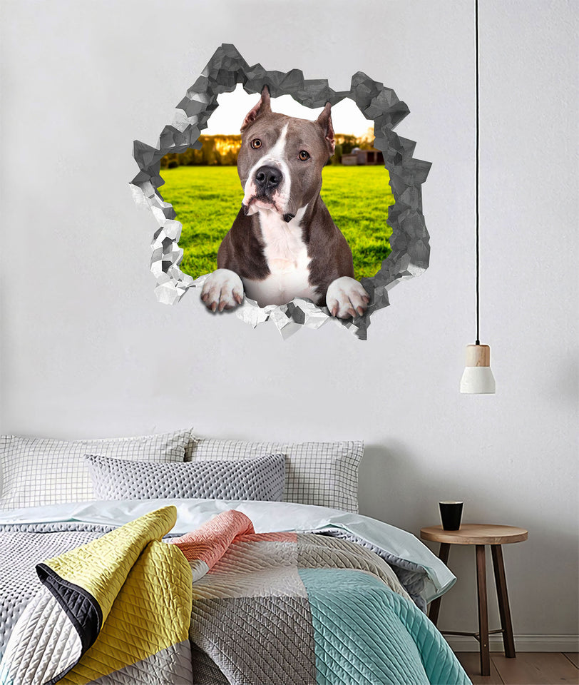 [da0105-snf-tnt]-pitbull-crack-wall-decal